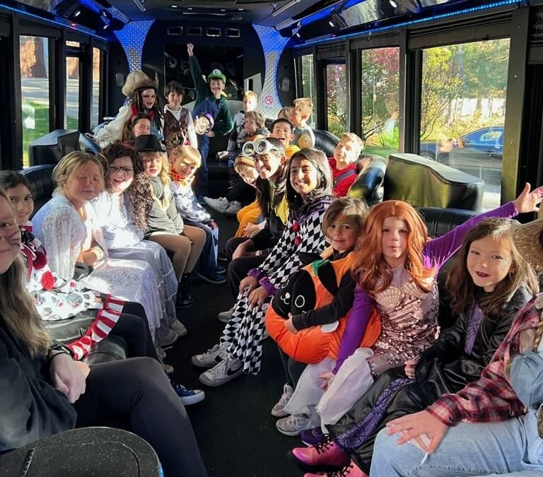 91 Limousine Service Minneapolis MN BTLimo Mini Bus