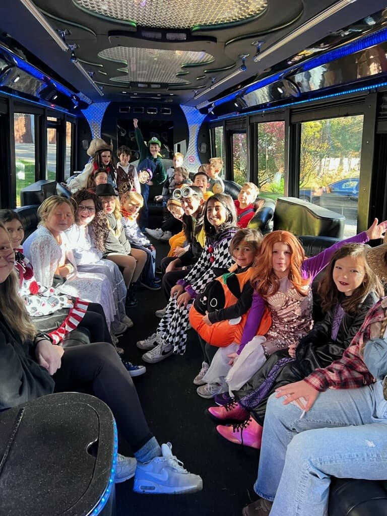 91 Limousine Service Minneapolis MN BTLimo Mini Bus