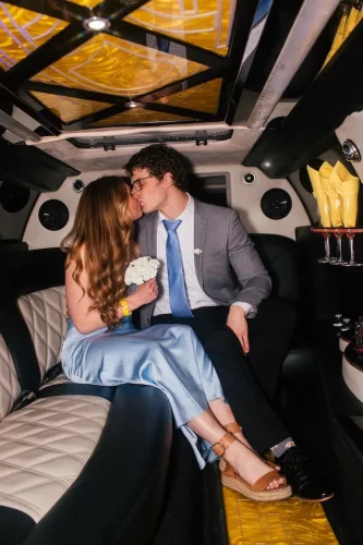 242 Limousine Service Minneapolis Mn