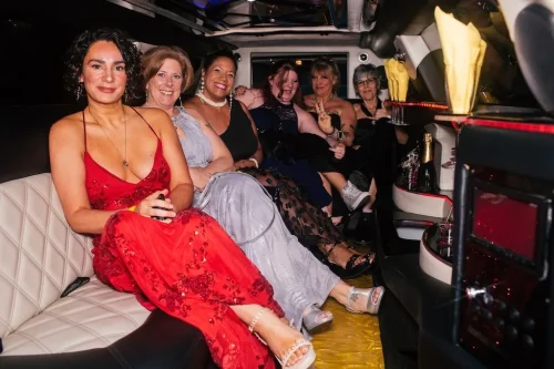 253 Limousine Service Minneapolis Mn