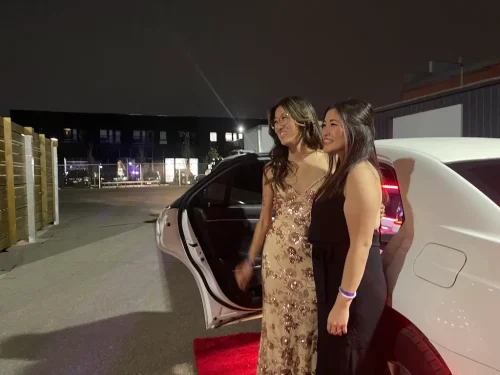 263 Limousine Service Minneapolis Mn 2
