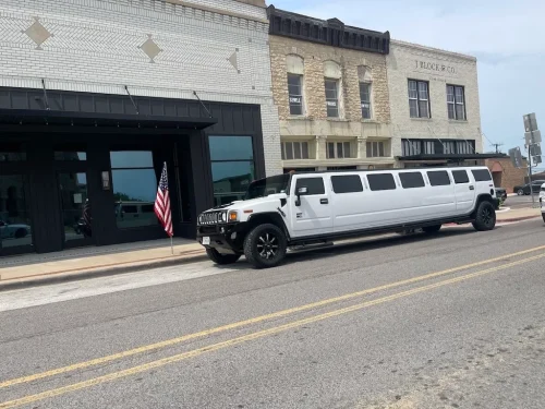 264 Limousine Service Minneapolis Mn 2