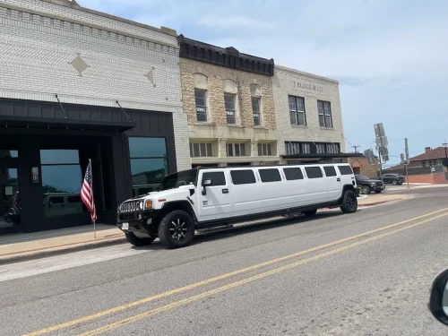 265 Limousine Service Minneapolis Mn 2