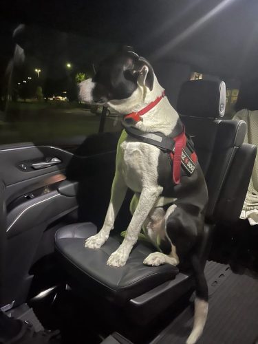 limousine-service-minneapolis-mn-testimonials-gallery-17